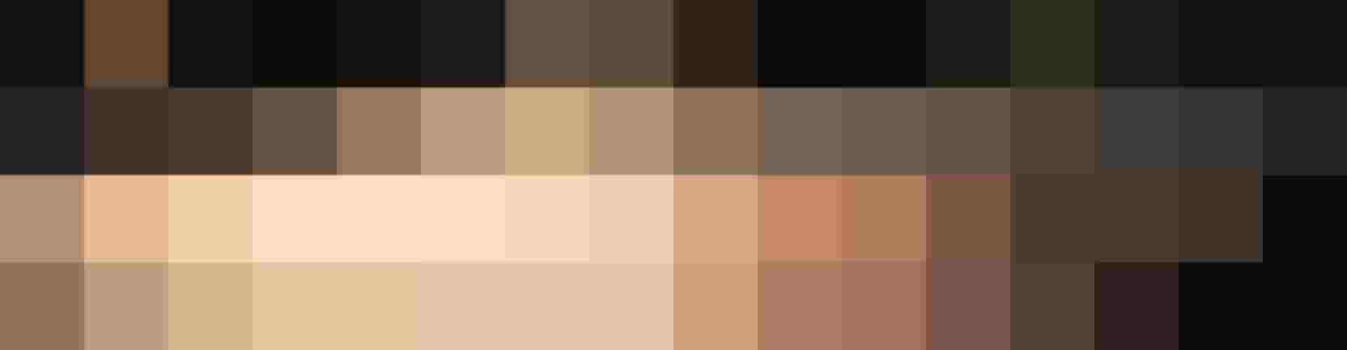 Pinzgauer Holzspielzeug